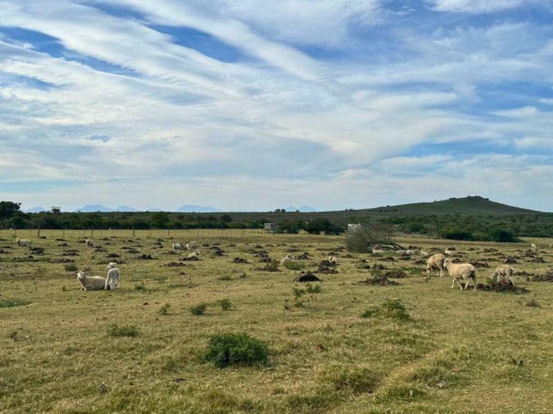 4 Bedroom Property for Sale in Mossel Bay Rural Western Cape